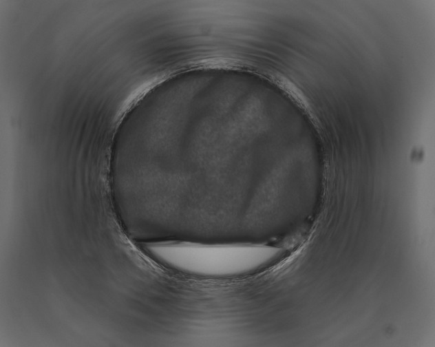 X0000090440930200708031150