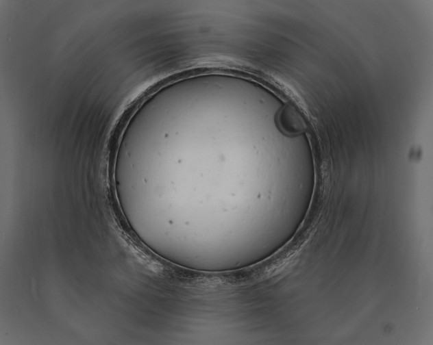 X0000090440931200708031150