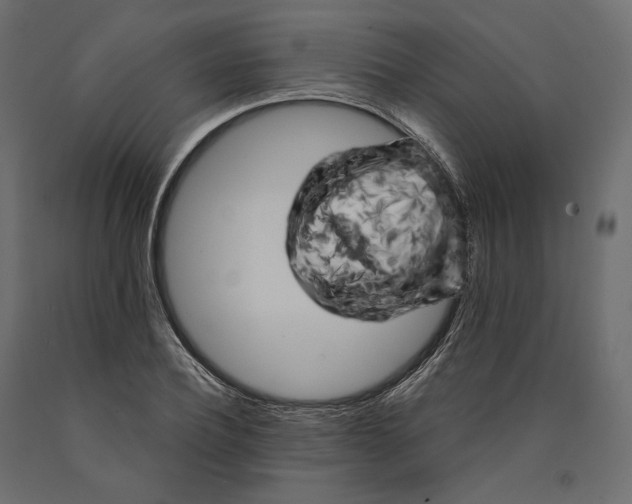 X0000090440932200708031150