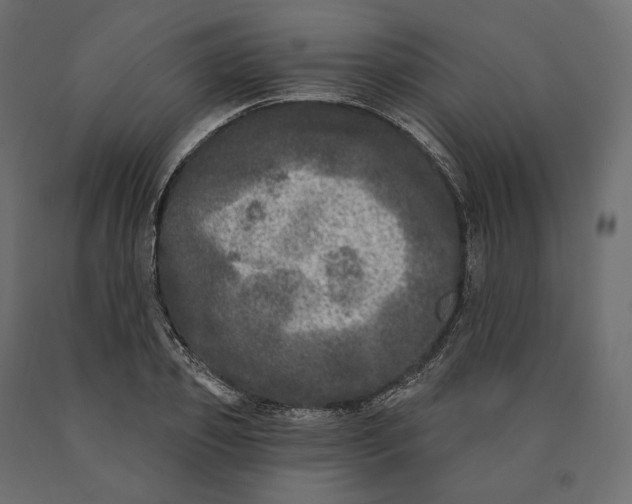 X0000090440933200708031150