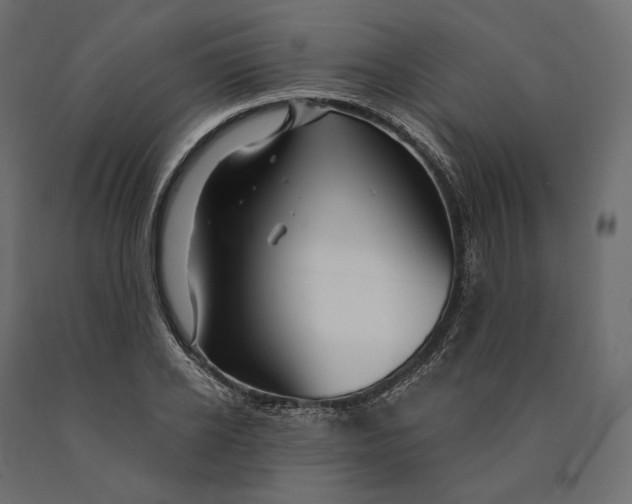 X0000090440934200708031150