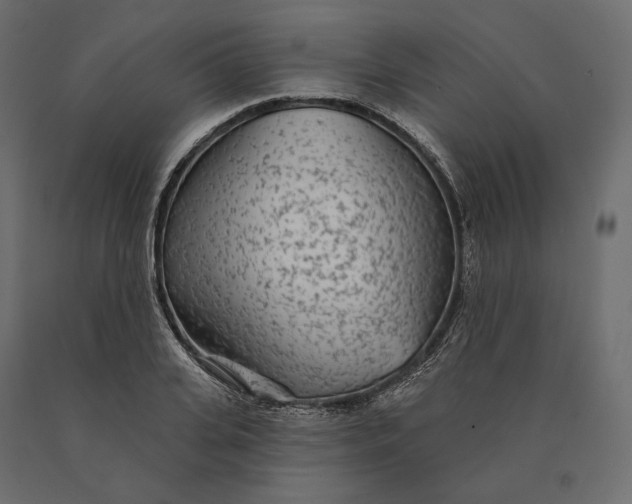 X0000090440935200708031150