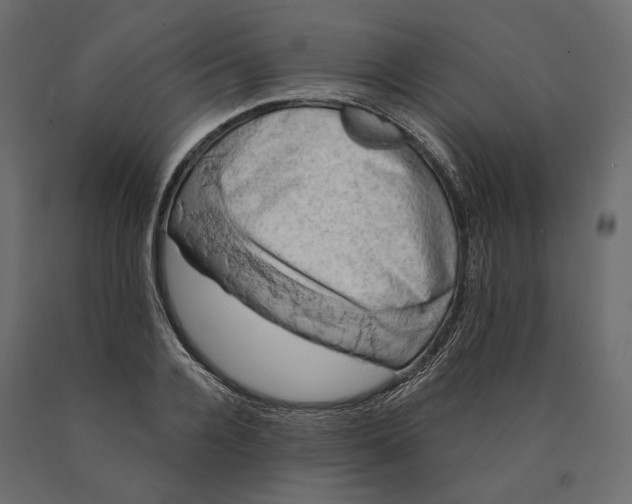 X0000090440936200708031150