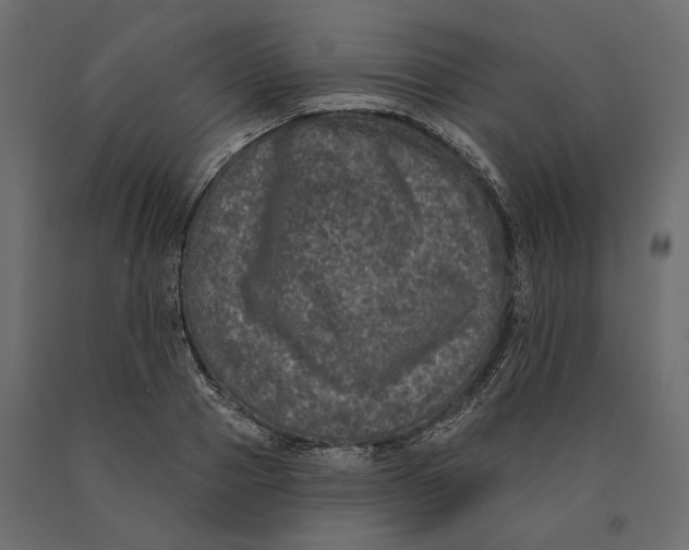 X0000090440937200708031150