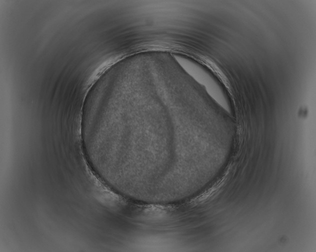 X0000090440938200708031150