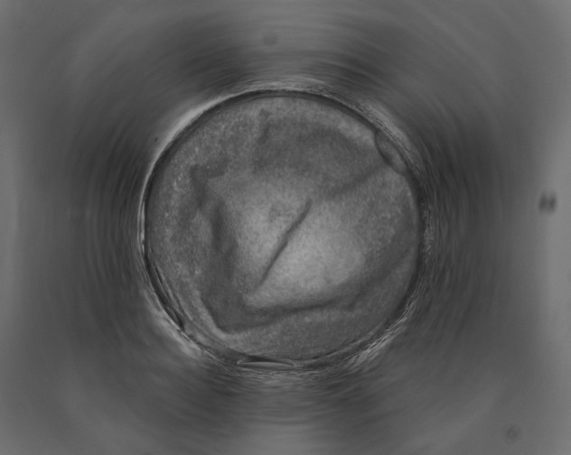 X0000090440940200708031150