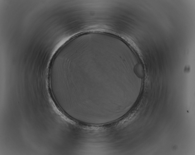 X0000090440941200708031150