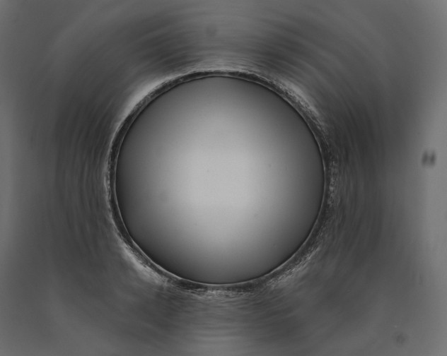 X0000090440942200708031151