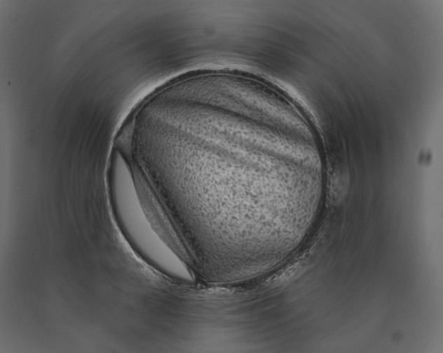 X0000090440943200708031151