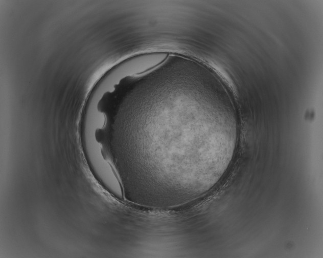 X0000090440944200708031151