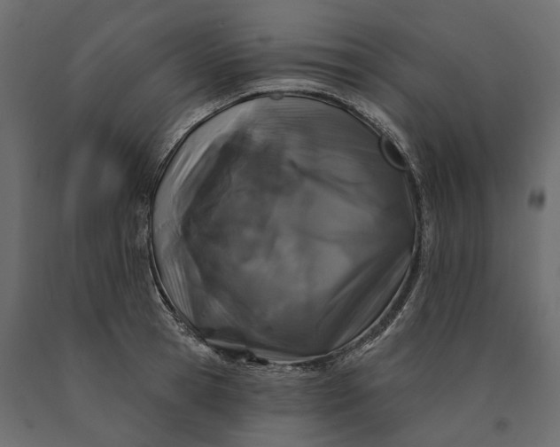 X0000090440945200708031151