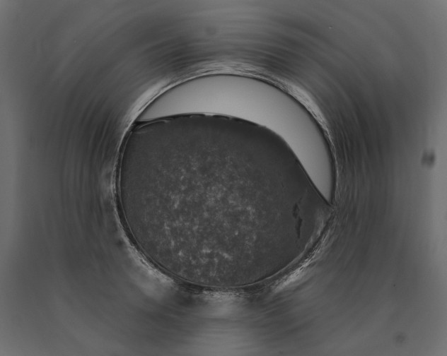 X0000090440946200708031151