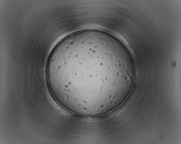 X0000090440947200708031151