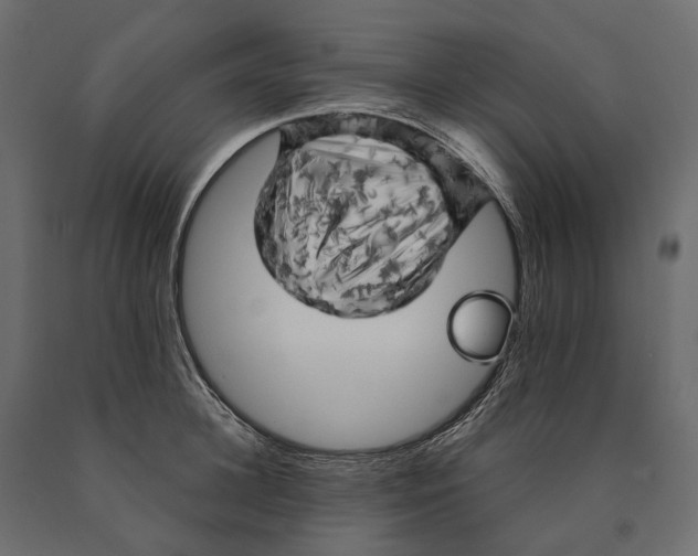 X0000090440948200708031151