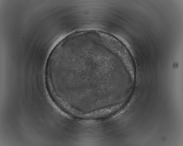 X0000090440949200708031151