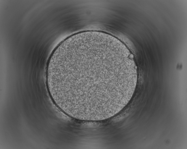 X0000090440950200708031151