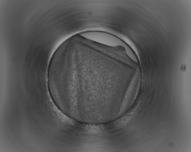 X0000090440951200708031151