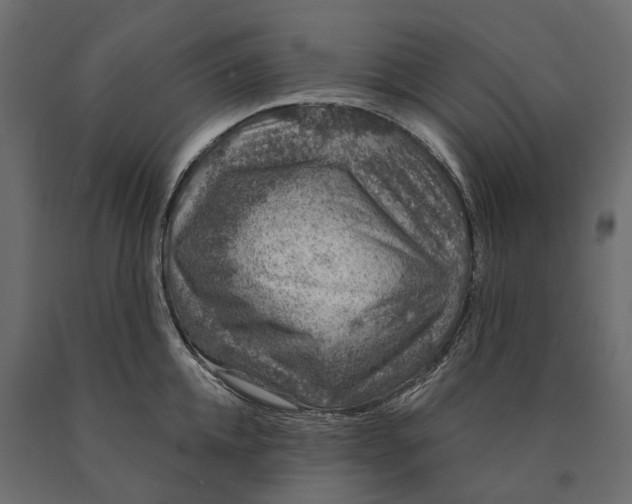 X0000090440952200708031151