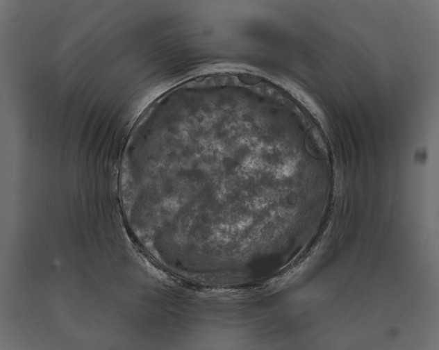 X0000090440953200708031151