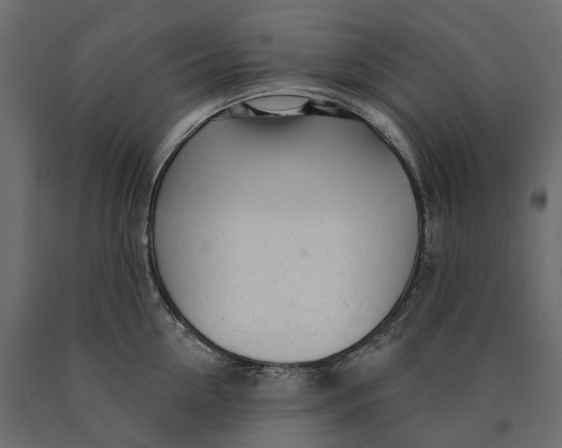 X0000090440954200708031151