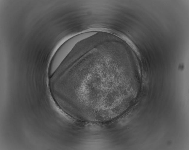 X0000090440955200708031151