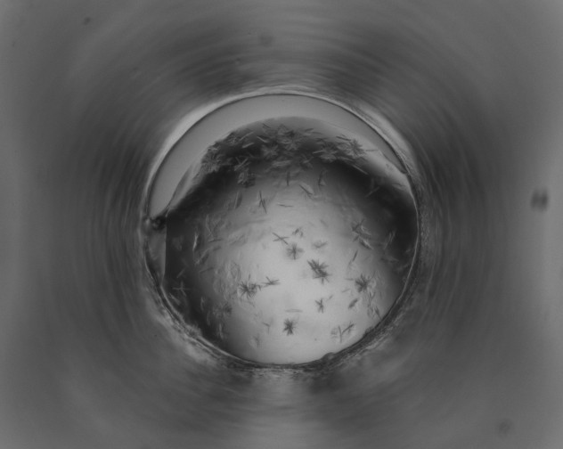 X0000090440956200708031151