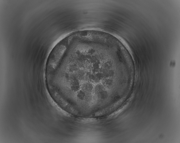 X0000090440957200708031151