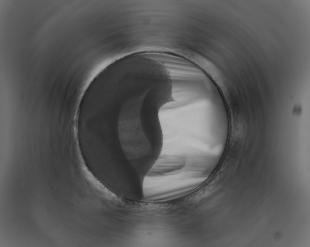 X0000090440958200708031151