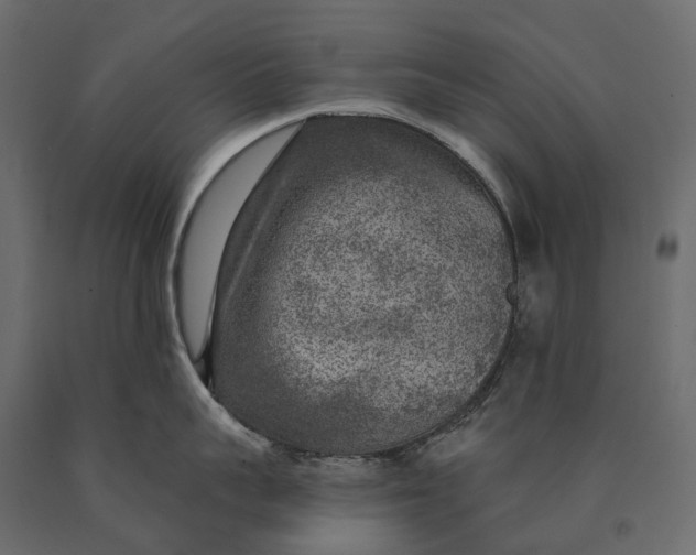 X0000090440959200708031151