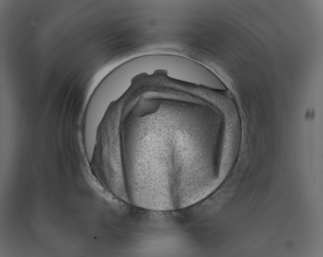 X0000090440960200708031151