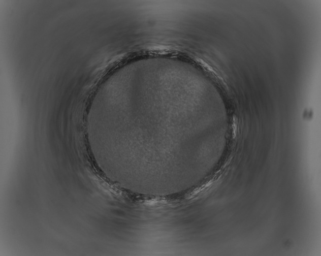 X0000090440961200708031150