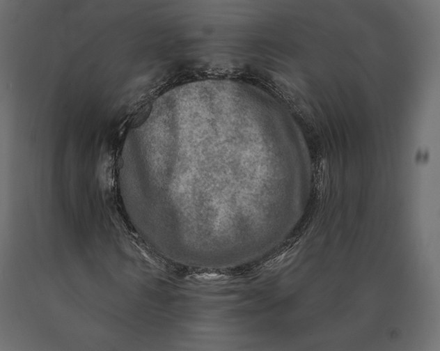 X0000090440962200708031150