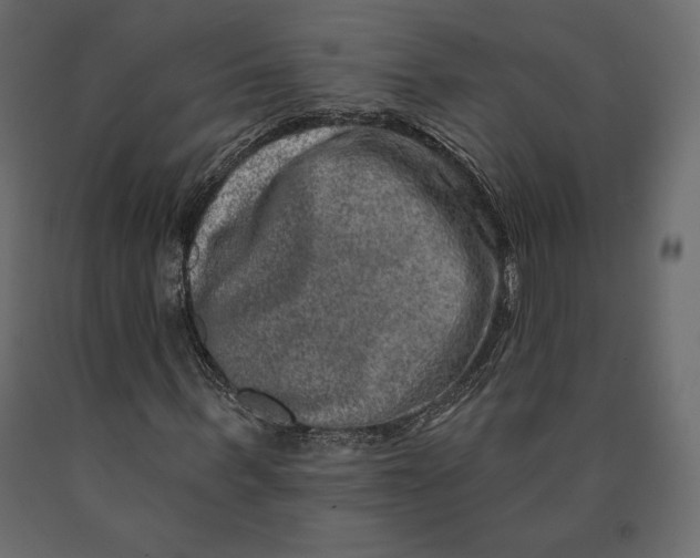 X0000090440963200708031150