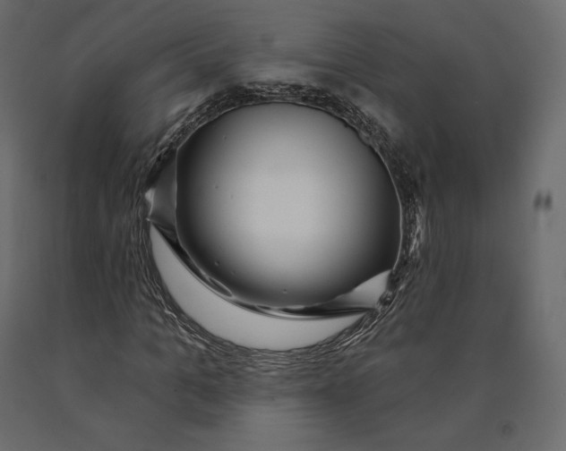 X0000090440965200708031150