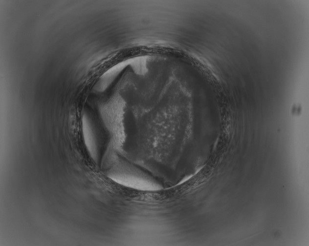 X0000090440966200708031150