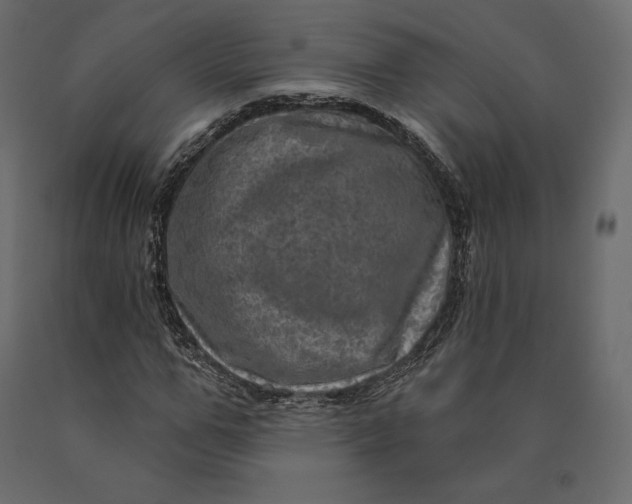 X0000090440967200708031150