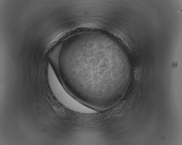 X0000090440968200708031150