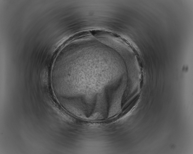 X0000090440969200708031150