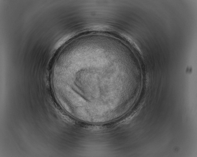 X0000090440970200708031150