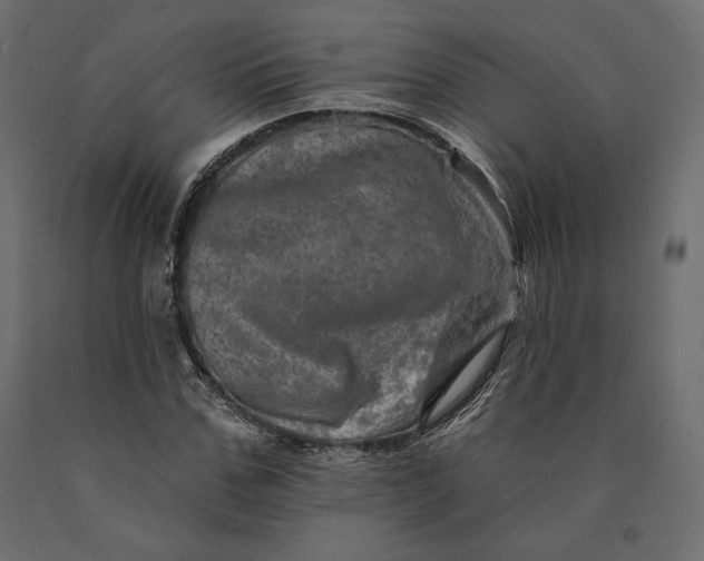 X0000090440971200708031150