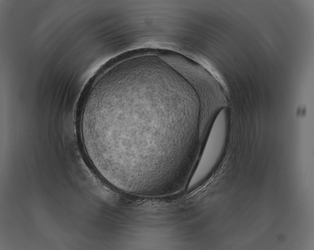 X0000090440972200708031150