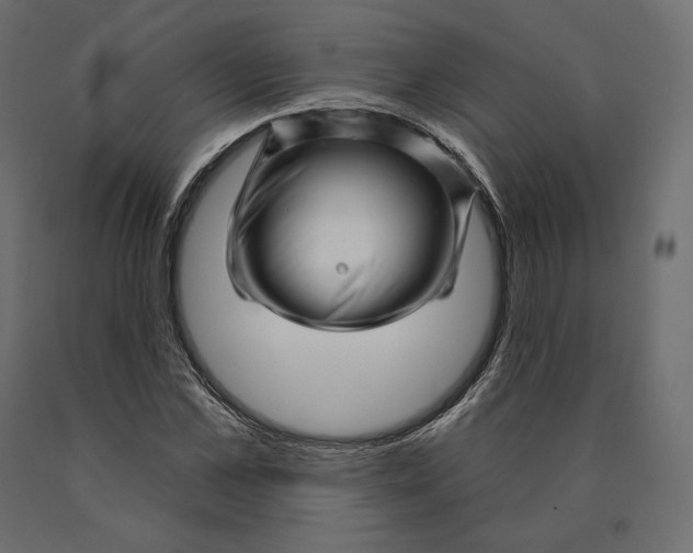 X0000090440973200708031150