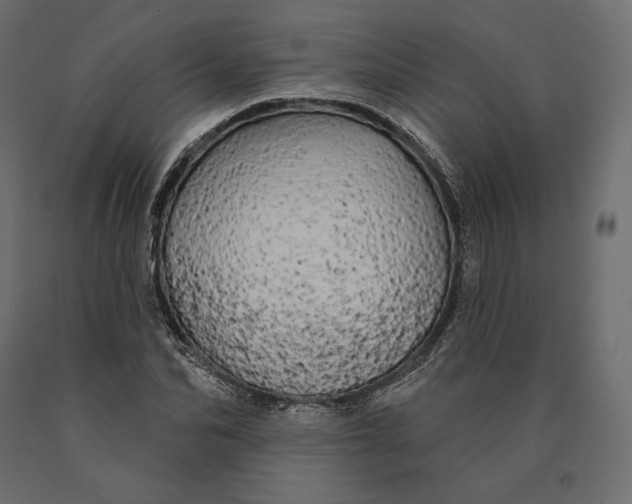 X0000090440974200708031150