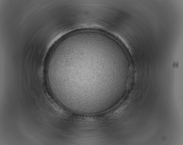 X0000090440975200708031150