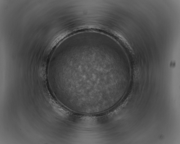 X0000090440977200708031150