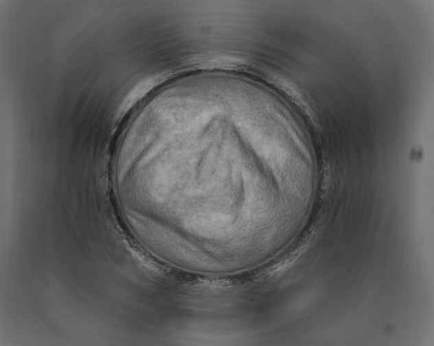 X0000090440978200708031150