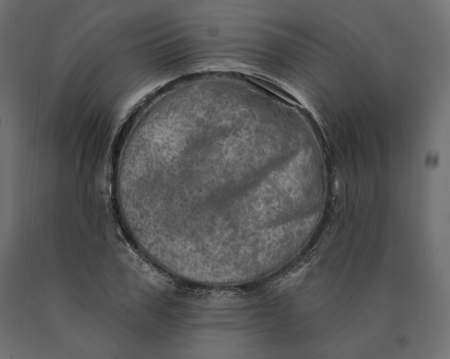 X0000090440979200708031150