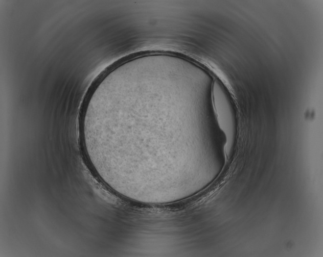 X0000090440980200708031150