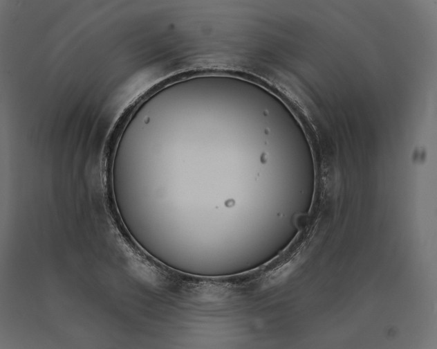 X0000090440981200708031150