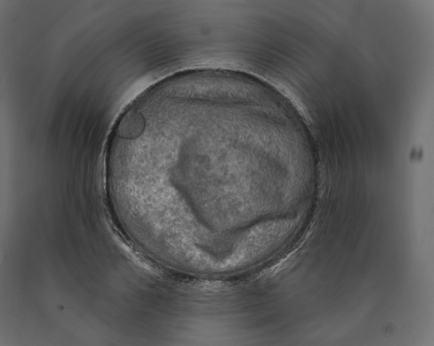 X0000090440982200708031150